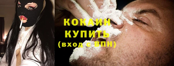 гидра Елизово