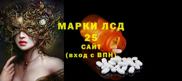 гидра Елизово