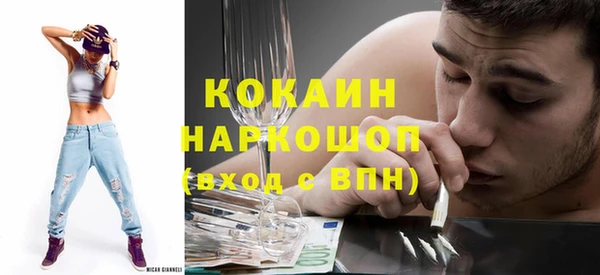мет Ельня