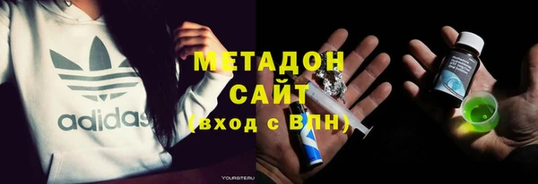 гидра Елизово