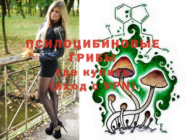 гидра Елизово