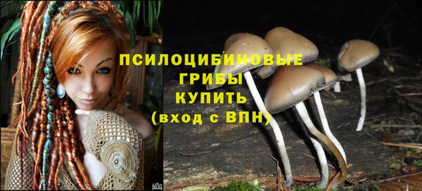 мет Ельня