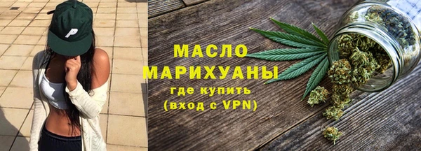 мет Ельня