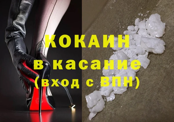мет Ельня
