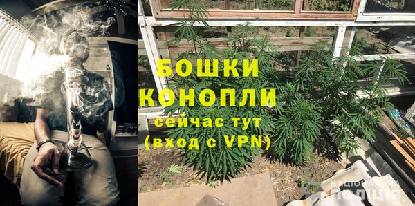 гидра Елизово