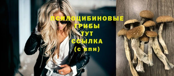 прущий лед Елабуга