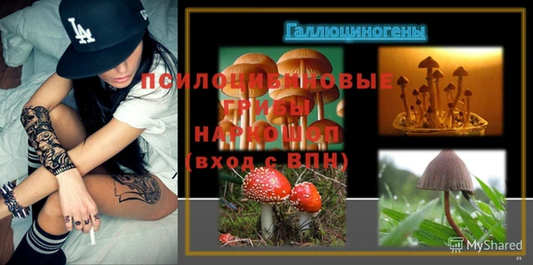 мет Ельня