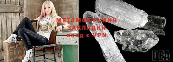 гидра Елизово